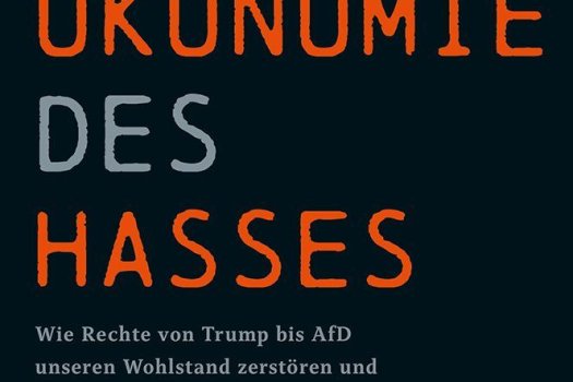 cover des Buchs "Die &Ouml;konomie des Hasses"