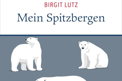 Cover: mare Verlag