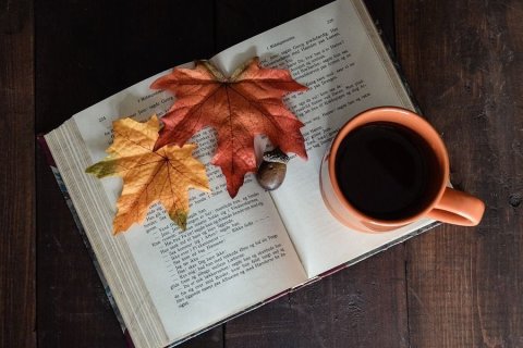 Das Foto zeigt ein aufgeschlagenes Buch, darauf eine Tasse Kaffee und herbstliche Bl&auml;tter.
