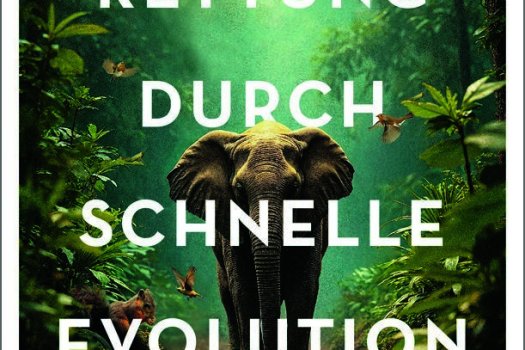 Das Cover des Buchs von Bernhard Kegel " Rettung durch schnelle Evolution" zeigt Elefant, Fledermaus und weitere Tiere im Urwald.