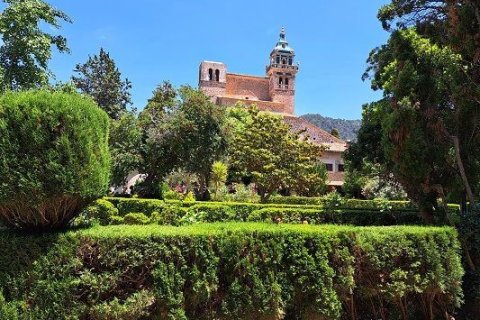 Foto von Park auf Mallorca