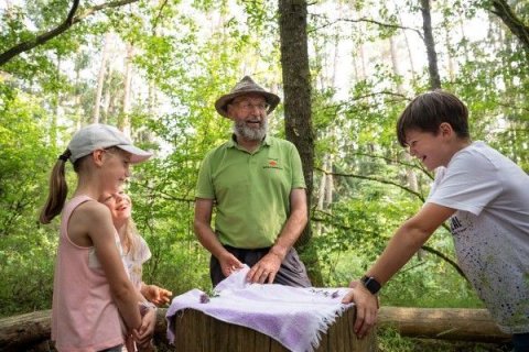 Foto des Deutschen Wanderverbands: Referent M&ouml;rk mit Kindern im Wald. 