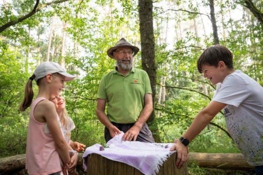 Foto des Deutschen Wanderverbands: Referent M&ouml;rk mit Kindern im Wald. 