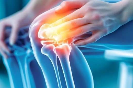 Das Bild zeigt ein Knie